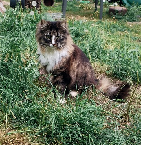 IMG_20250517_162202_edit_1508705377506762