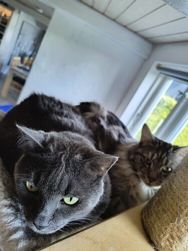 IMG_20250728_184747500_HDR
