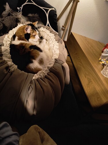 IMG_20260901_210420679_HDR