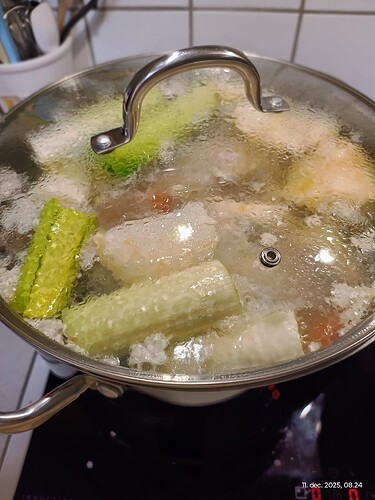 IMG_20251211_082450979_HDR_AE