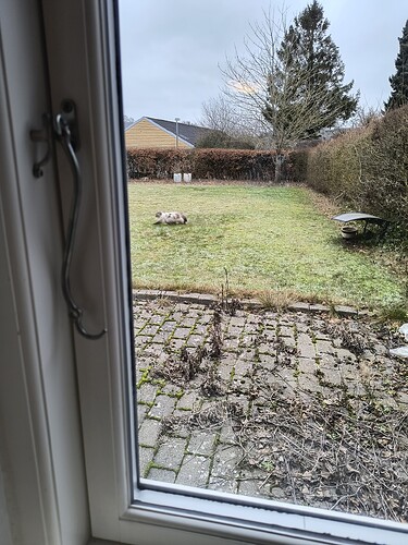 IMG_20260126_142055375_HDR