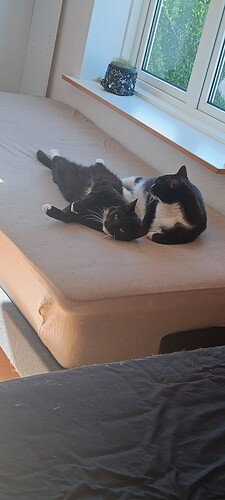 IMG20240515171855
