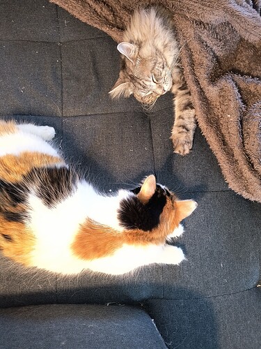 IMG_20251116_125054551