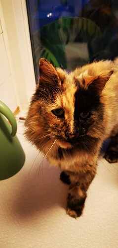 IMG_20210821_210752