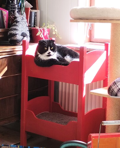 IMG_20260409_105919_edit_290012198427753