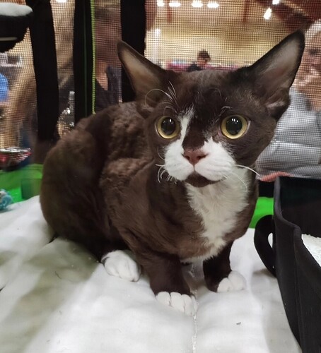 Screenshot_20251025_183020_edit_1571025790846582