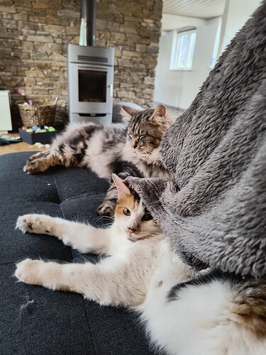 IMG_20250514_195515753_HDR