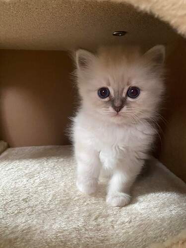 received_416614327153904