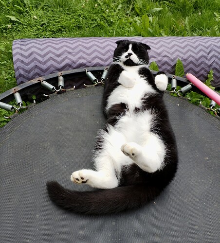 IMG_20250726_164212_edit_866848295345208