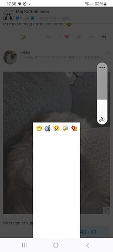 Screenshot_20240507_173631_Chrome