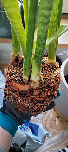 a8e7e6e1-f11a-4e34-99f3-a8f9d3bf2dc3