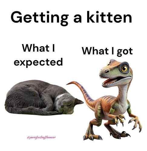 att.m8ufJZVaaUN28PsGN4nknEkqZfWGKkoFO6jMa3uQ-co