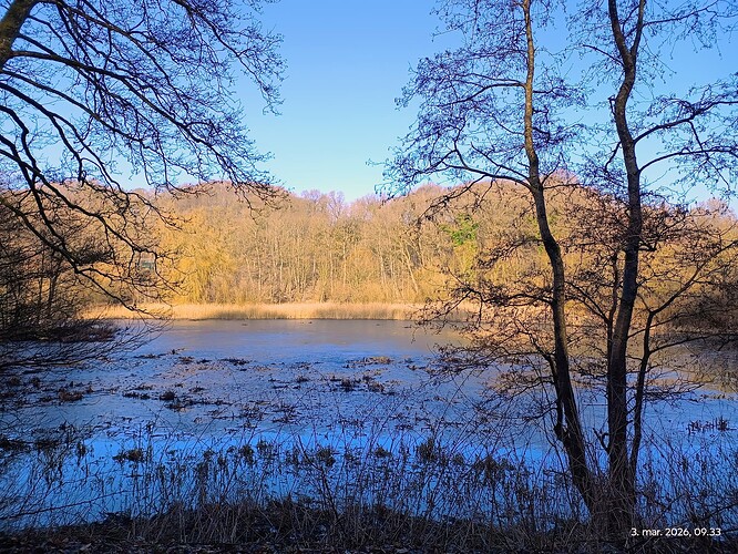 IMG_20260303_093340926_AE