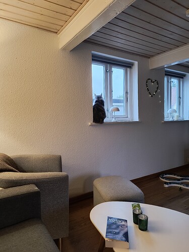 IMG_20241231_120535690_HDR