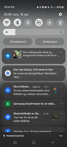Screenshot_20240118_200951_Chrome