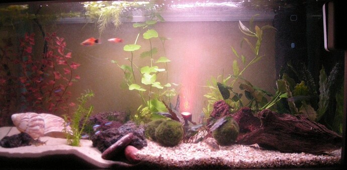 Alans 128L. 1 marts 09 005