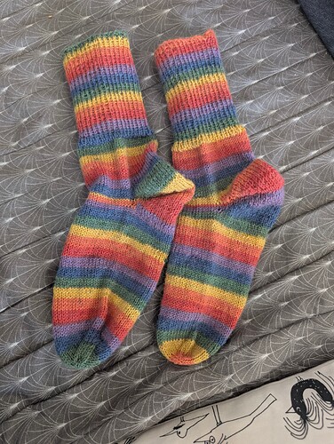 PXL_20260304_133359900.MP