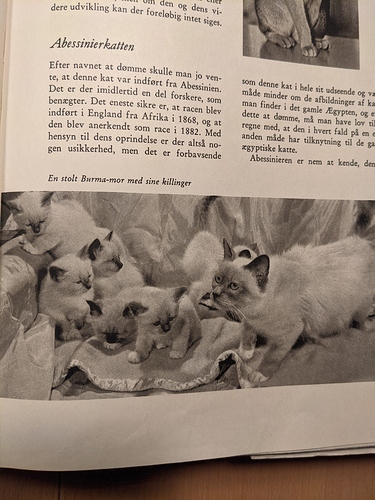 PXL_20210209_171629924