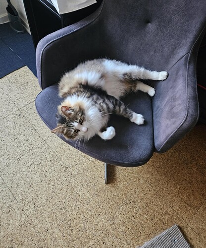 Messenger_creation_1D6051DE-1ED0-412E-9B4B-D2B24F990FE2