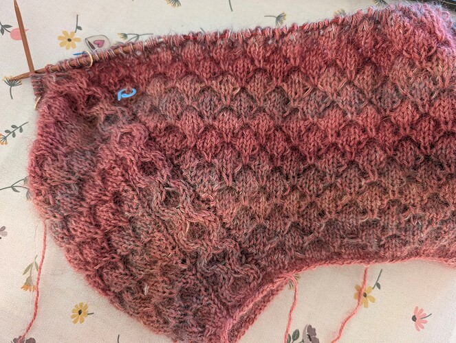 PXL_20251012_154128995.MP