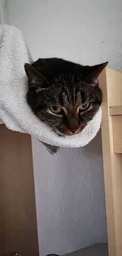 4c945066d2088ab7e24ac7cc59b6c7e87f56a609_2_358x750