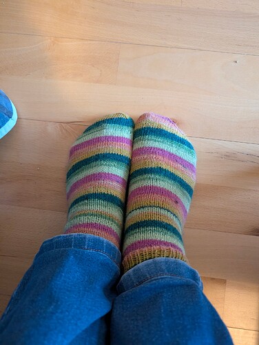 PXL_20260106_144152940.MP