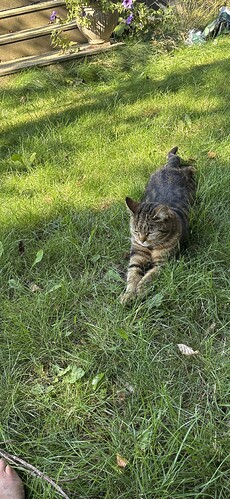 IMG_2218