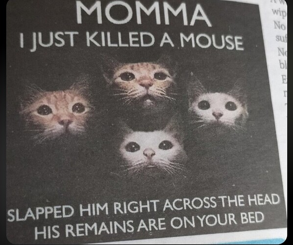 Screenshot_20251108_170016_edit_2115395853225900