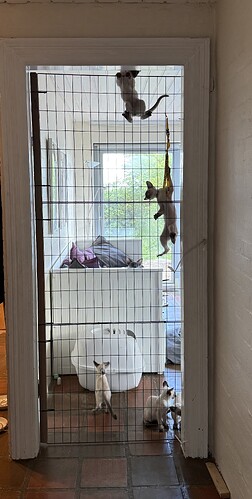 IMG_3622