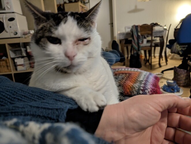 PXL_20241225_183842137.MP