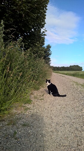 WP_20210701_18_48_04_Pro