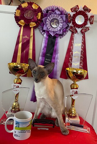 395177268_722075602592116_2490099581943502661_n