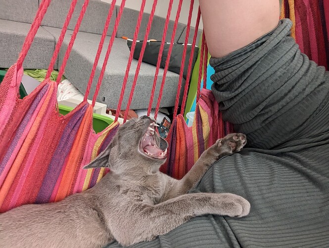 PXL_20231001_144113095