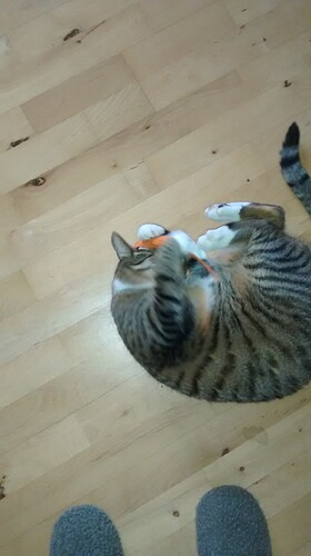 IMG_20160310_095427815