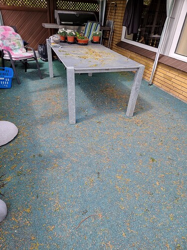 16843234116236442074223946907782