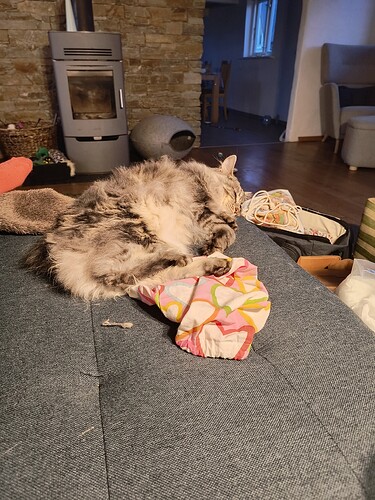 IMG_20250412_203459941_HDR