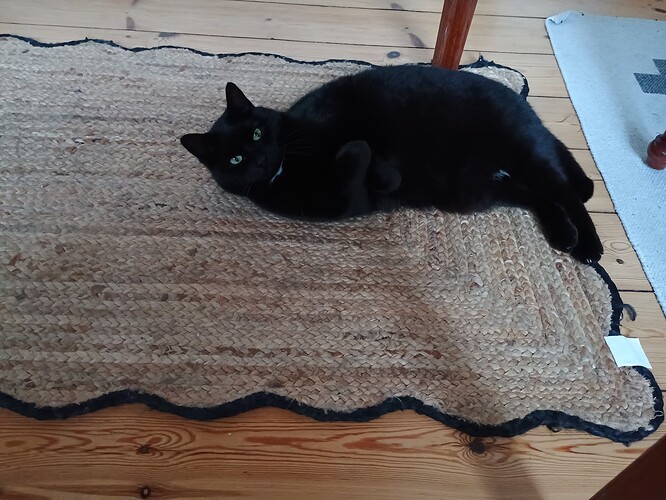 IMG_20260103_093841305