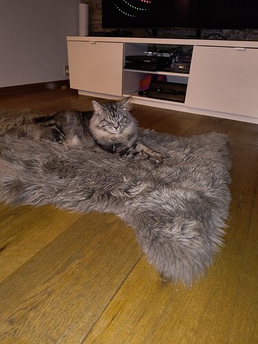 IMG_20260101_182557472