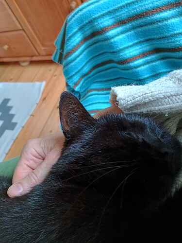 IMG_20250713_085523094_HDR