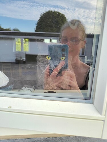 IMG_20250720_201133724_HDR