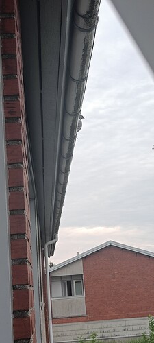 IMG20240716060036