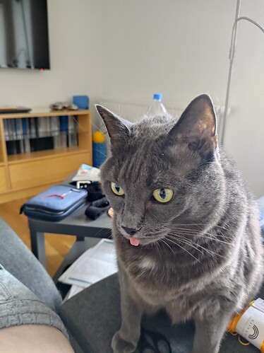 IMG_20210731_203038645