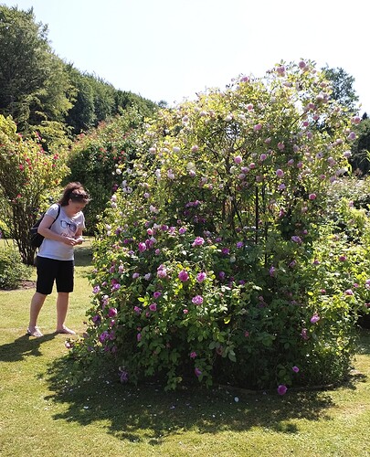 IMG_20250621_143420_edit_729417593485549