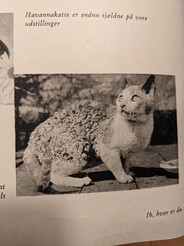 PXL_20210209_171741021