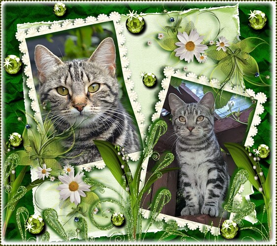 Kiki og Aulis imikimi grøn