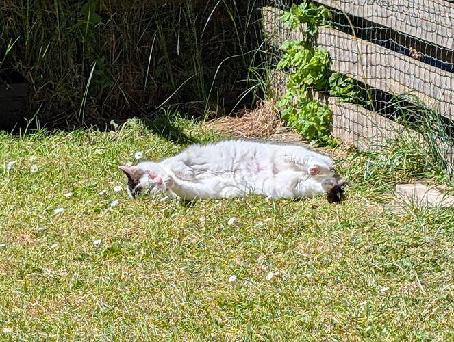 PXL_20250519_114026188.MP