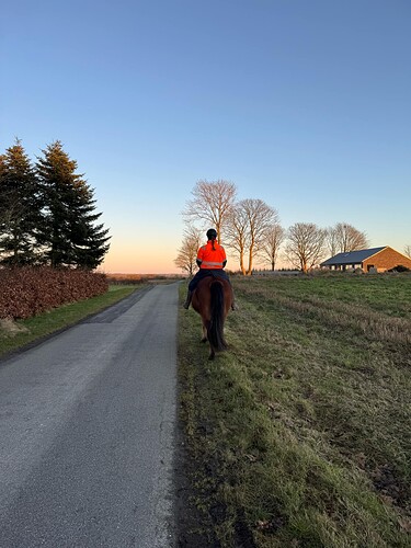 Messenger_creation_D107D955-5385-48FE-ADAE-3075F79F2F29