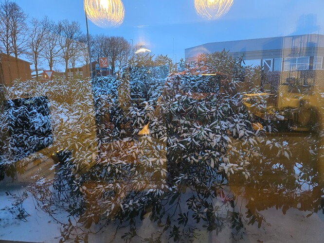 20260206_075658
