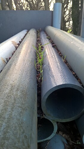 WP_20220125_12_57_28_Pro