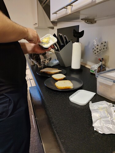 IMG_20231111_075130926_HDR